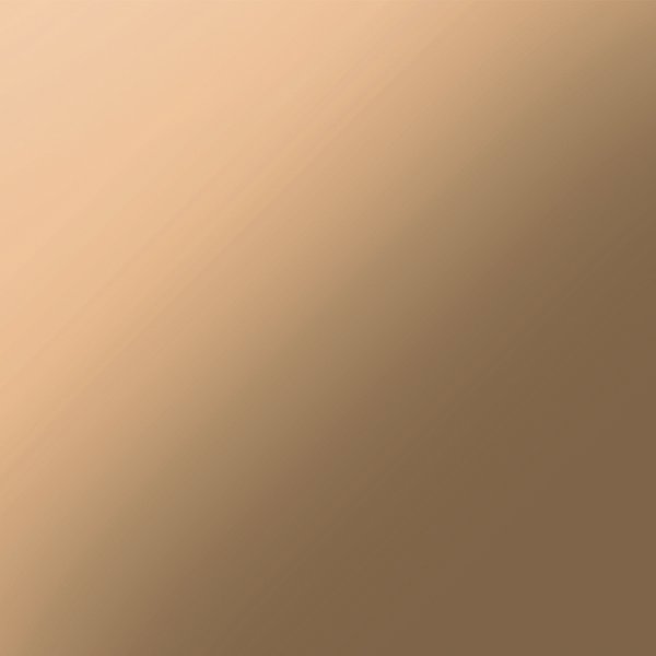 Bronze mirror door panel