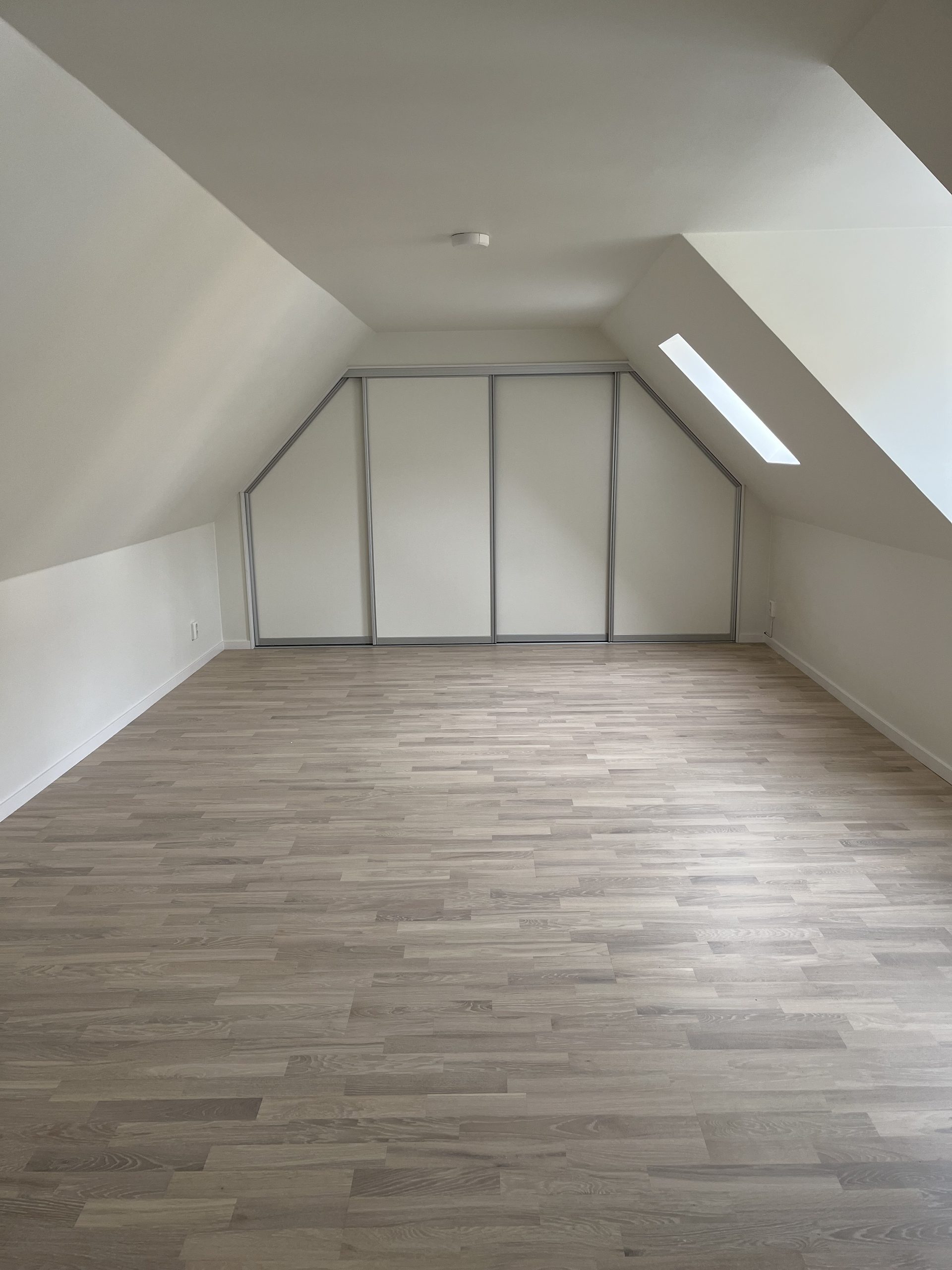 White doors at the end of an attic room, skylight in the sloped ceiling